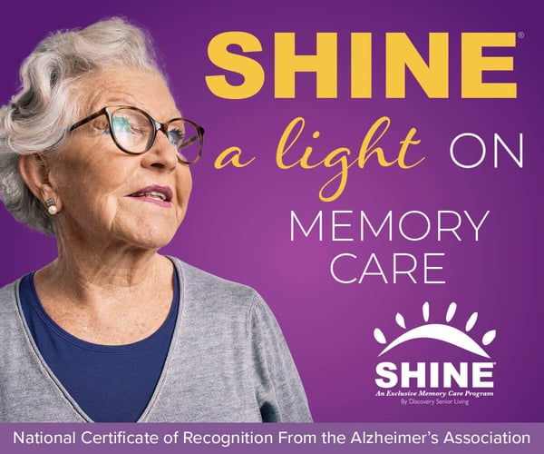 RVIND-0027-Web-Graphic_SHINE_April-20233-1-3